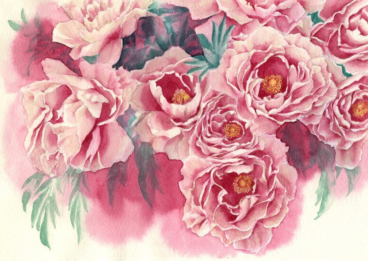 ピオニー」という牡丹の水彩画を描きました たくさんの牡丹を描いた絵