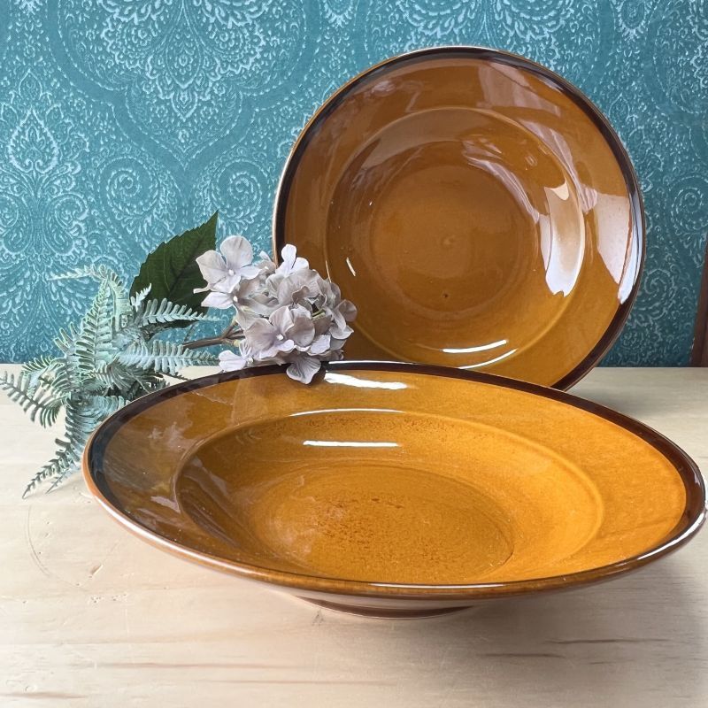 APOLLO STONE SONE CHINA ブラウンカレーシチュー皿 3枚セット