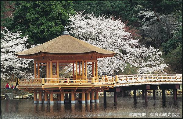 浮見堂 | 旅サラダPLUS 観光・お出かけSPOT